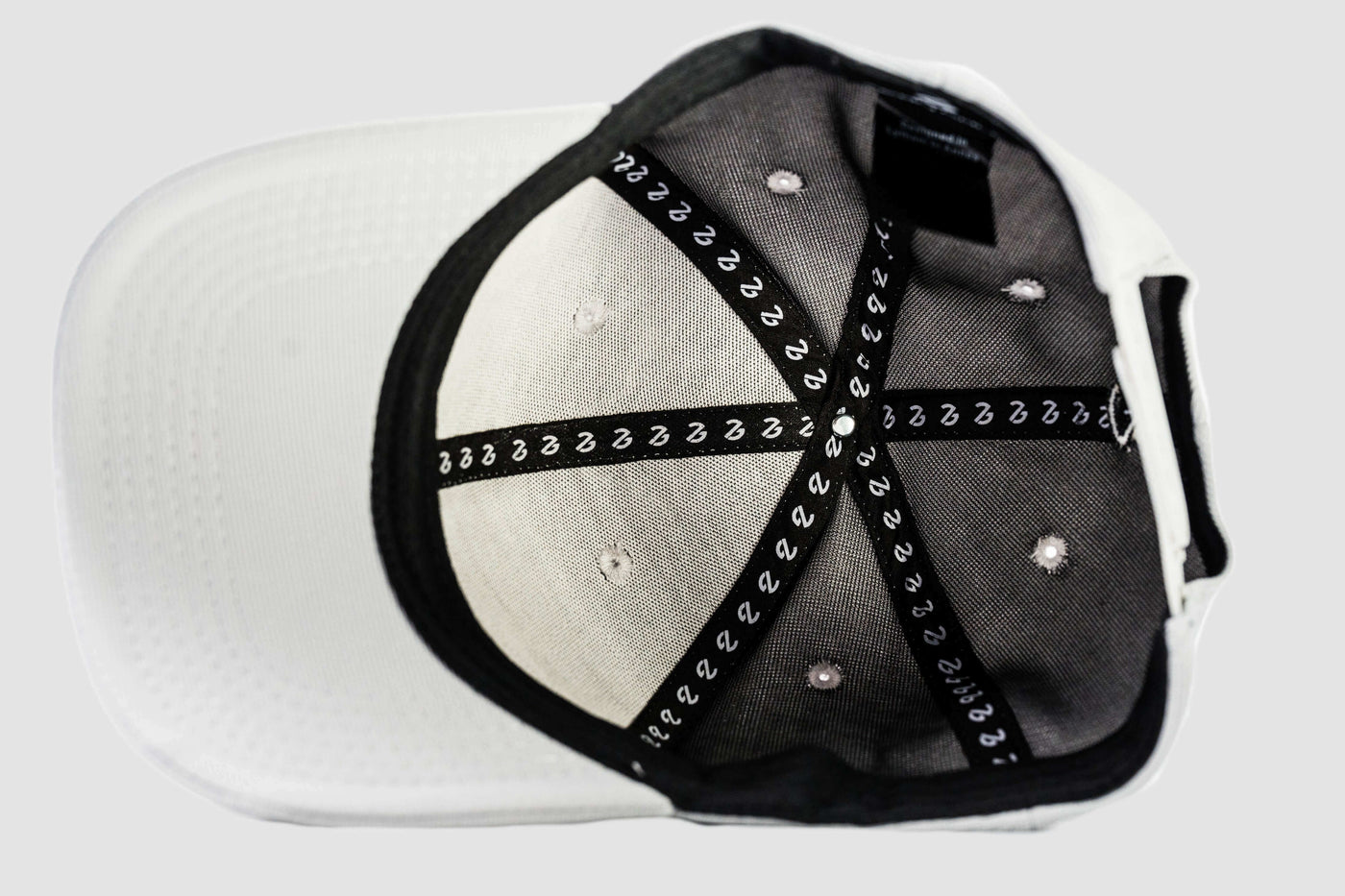 Apollo Grey Dynamic Snap Back